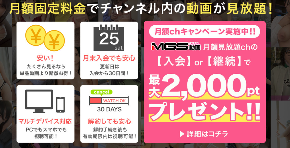 MGS月額見放題の特徴。更新日は入会から30日間で、解約後も有効期限内は視聴可能と明記